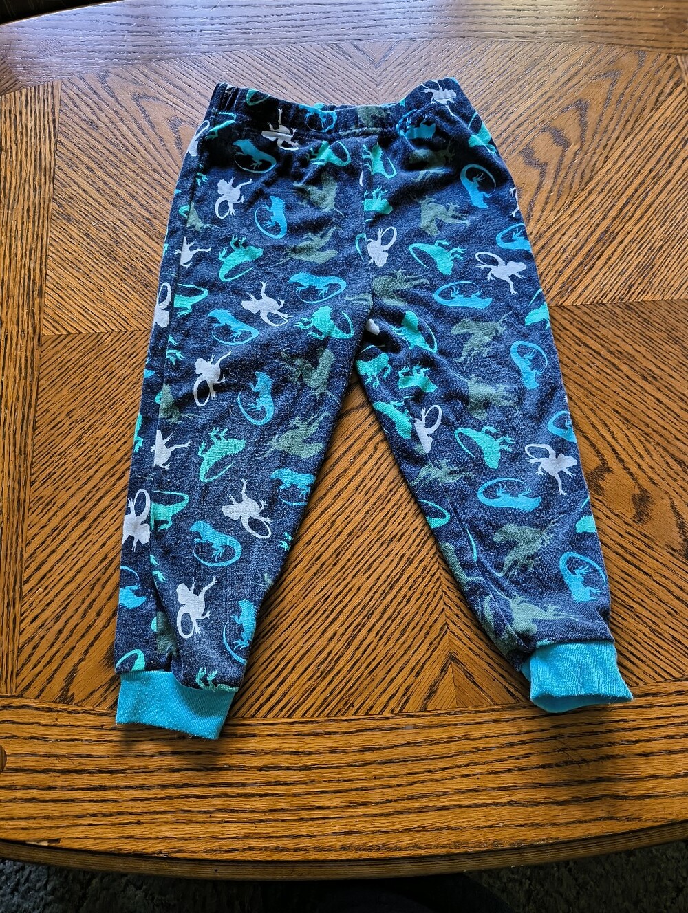 Kidgets Boys 24M Lizard Print Pajama Pants – Toddler Sleep Bottoms Blue Green